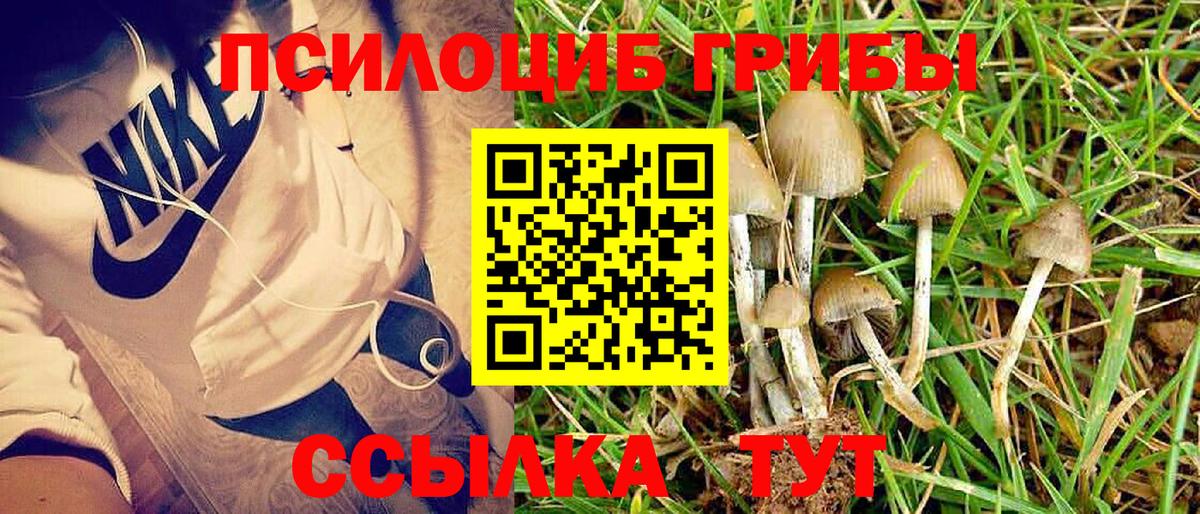 Галлюциногенные грибы MAGIC MUSHROOMS Старая Купавна